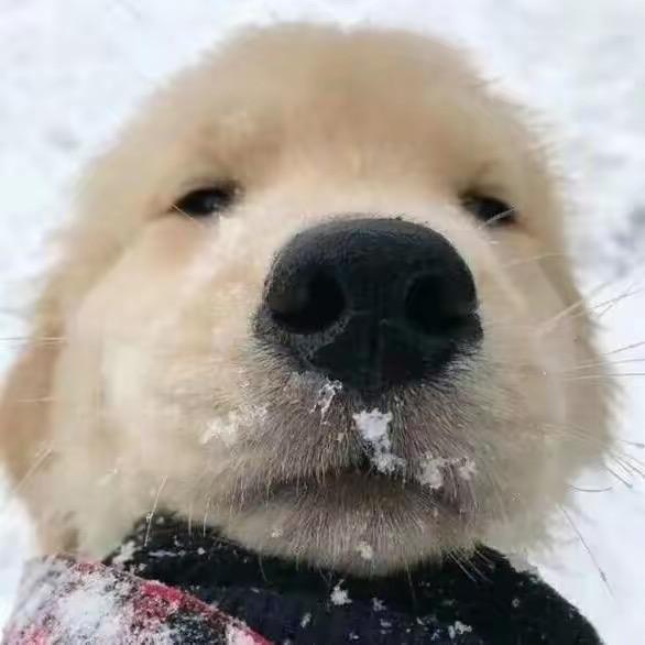 医生说我有胃病