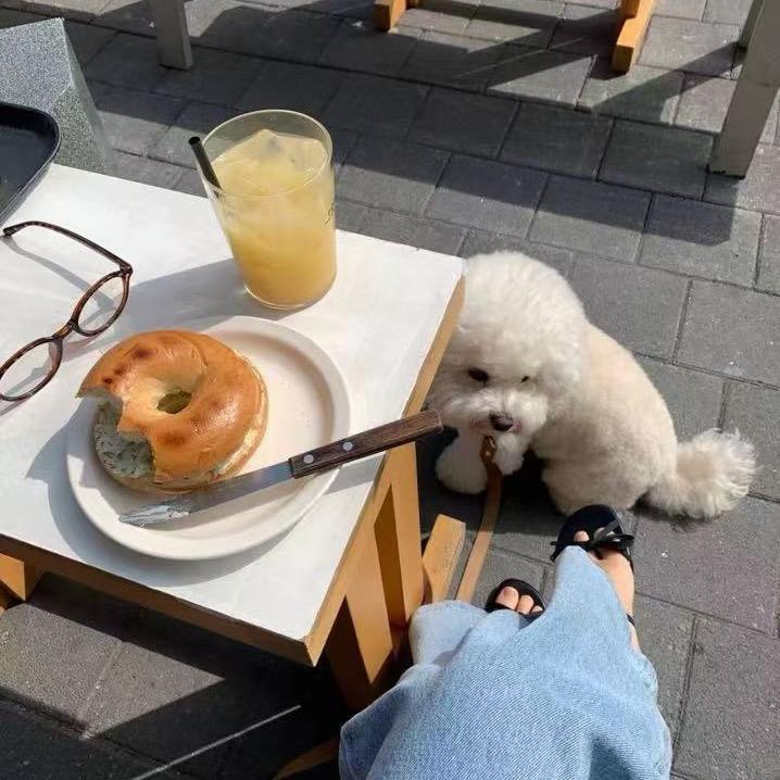 棉花糖朵女装服饰