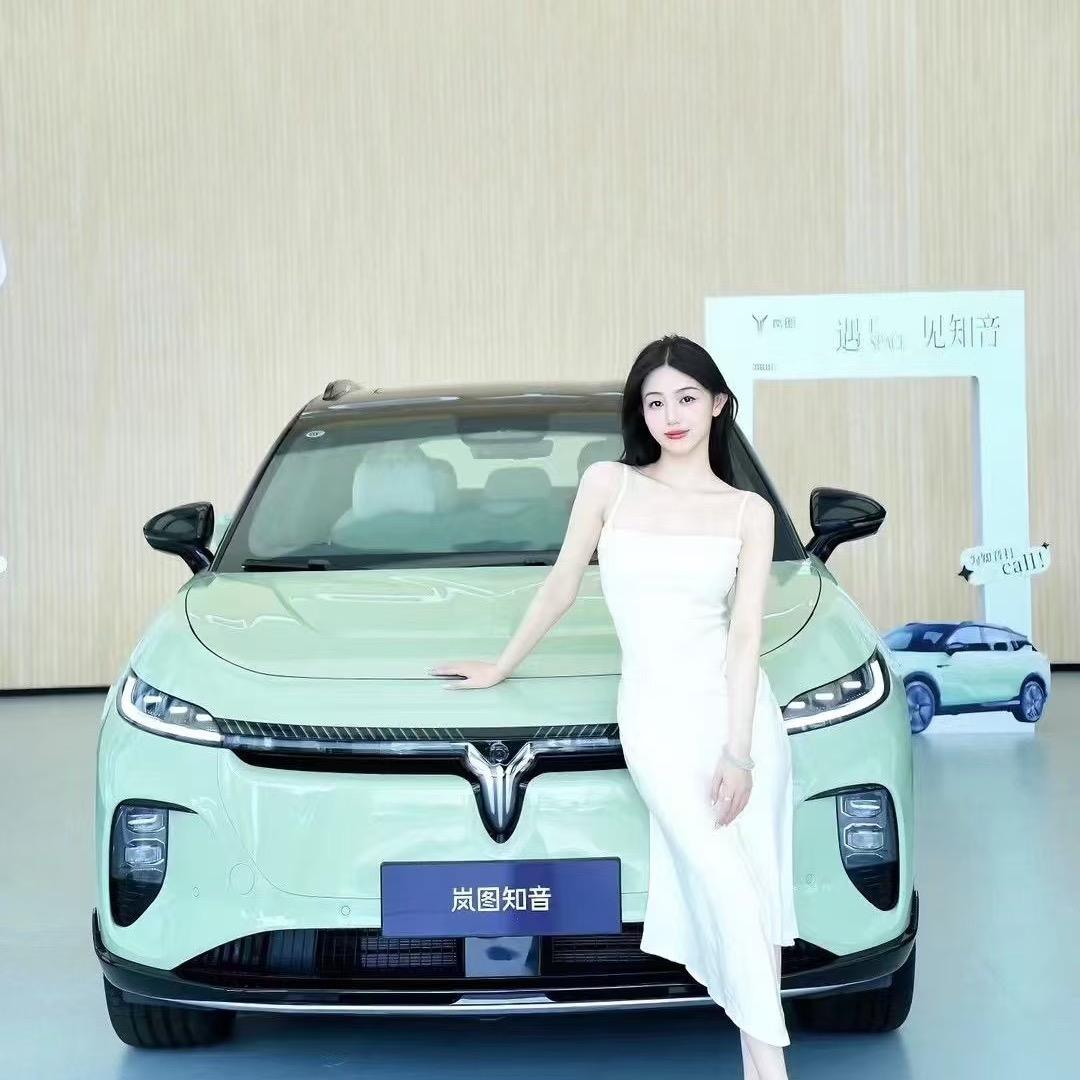 岚图营销中心-大将军