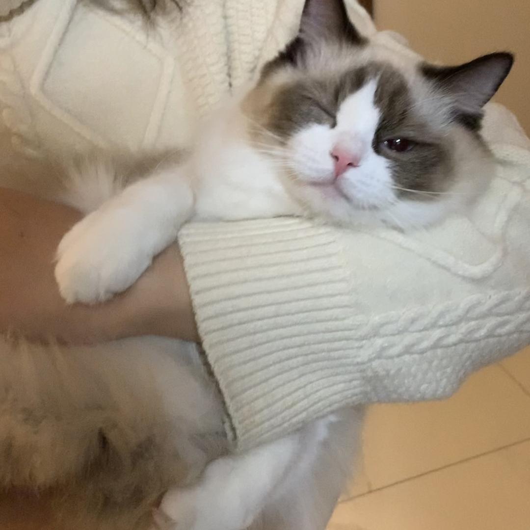 微辣加香菜