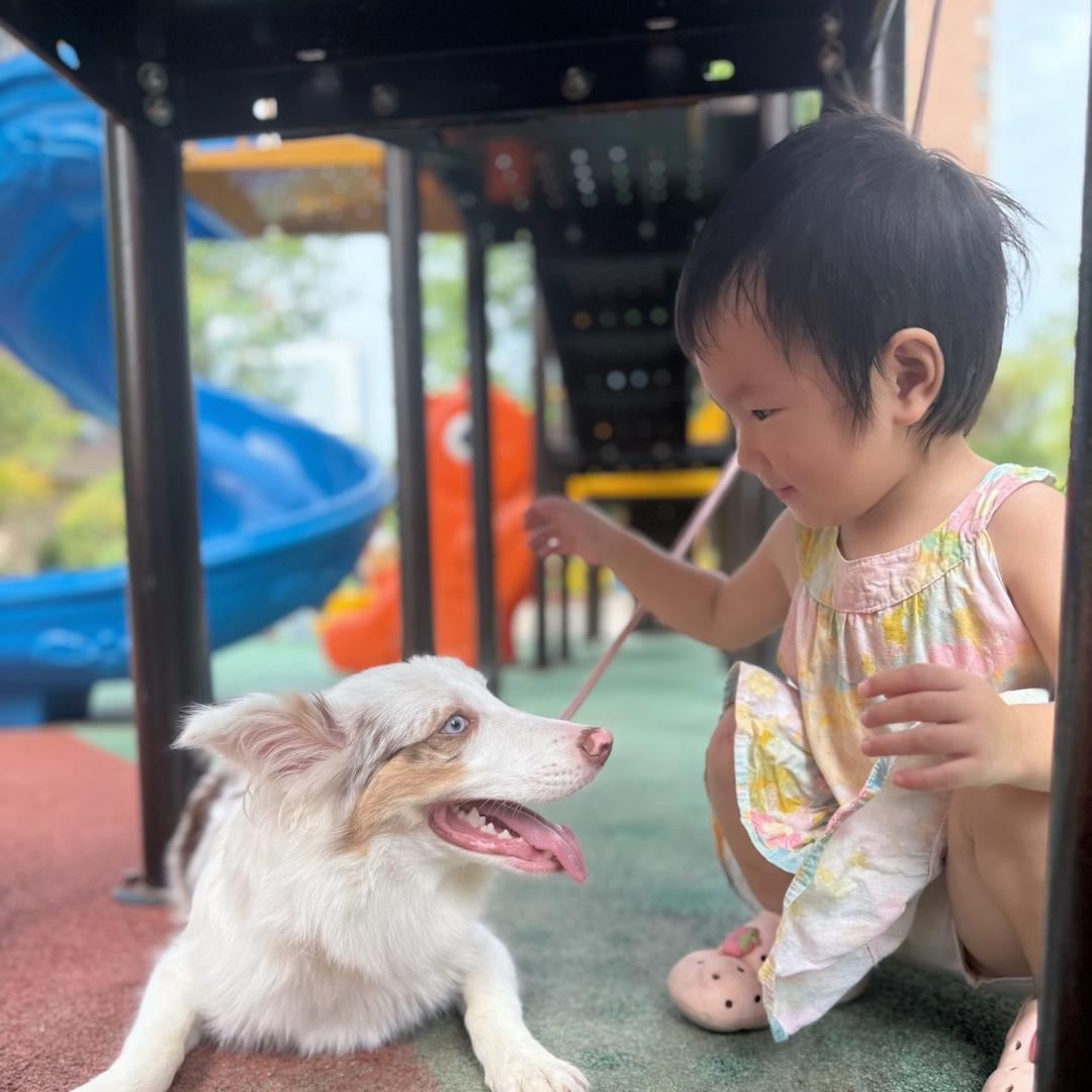 六月与可乐