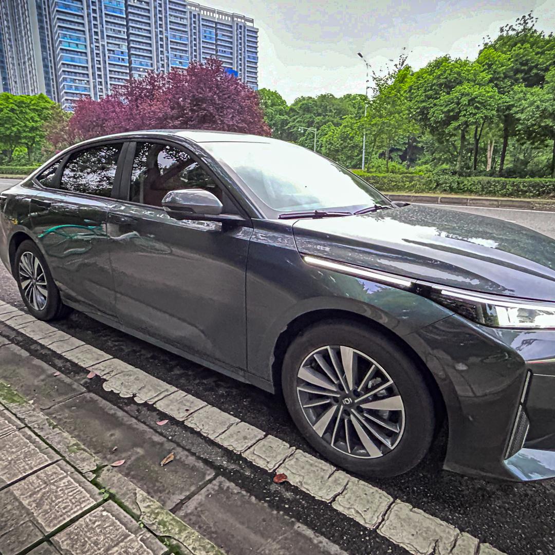 全国A05车友会会长 锤锤