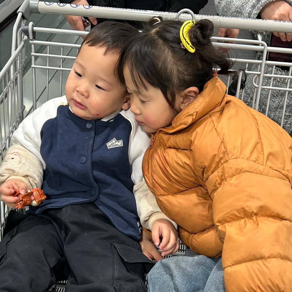 相信我会有猫的