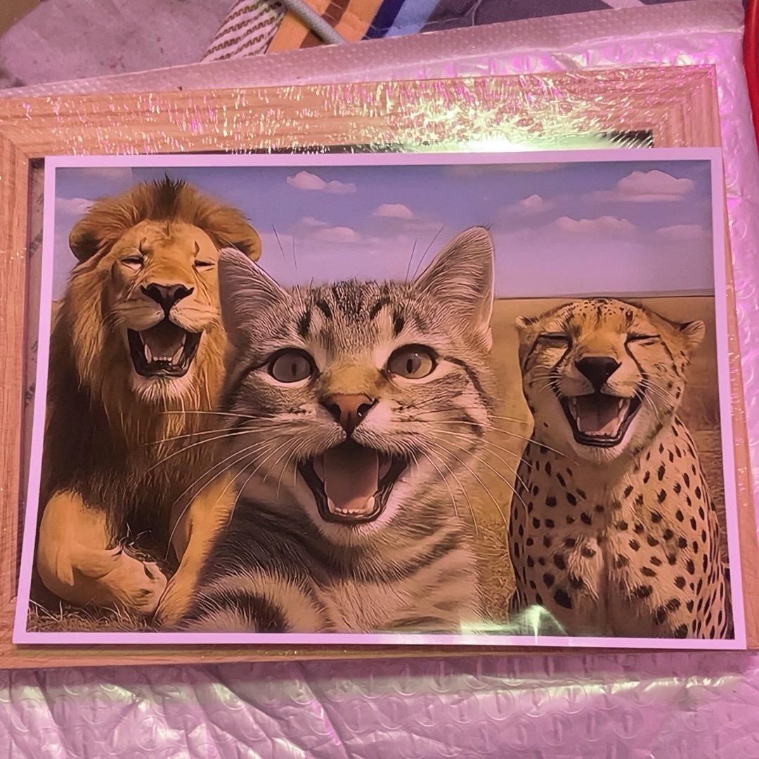 有钱啊大晒@冇钱啊踎街