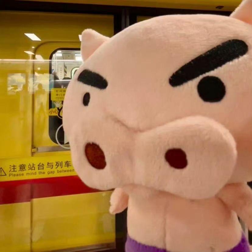 AAA专业套狗 盛师傅（全国可套）