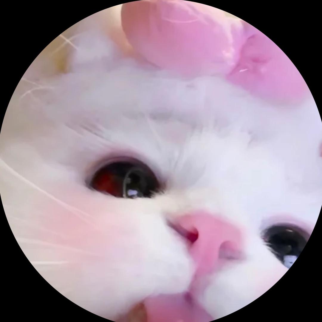 睡美人就应该多睡觉