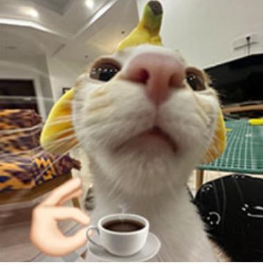 脉动典韦