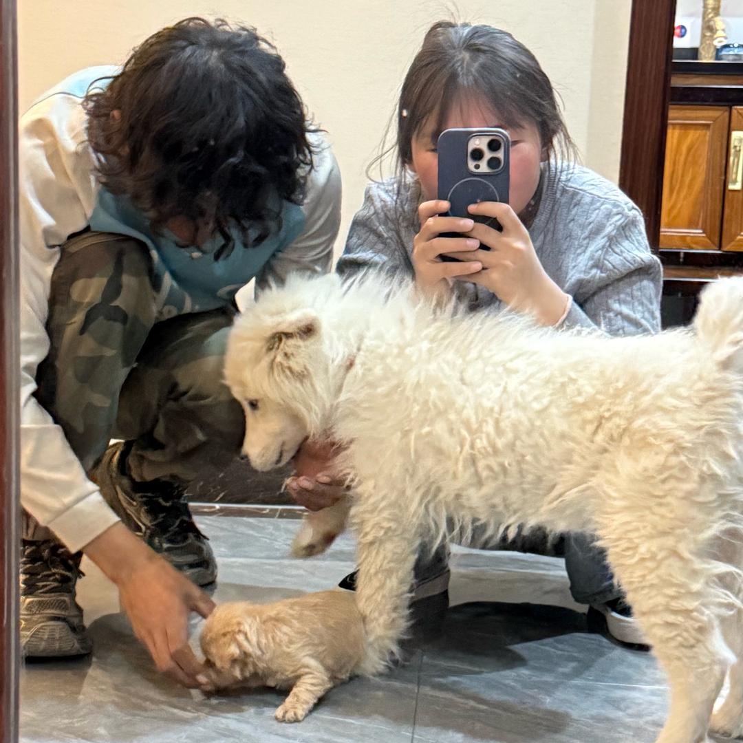爱的小屋🏘️💕