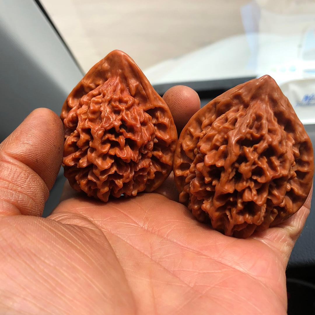 秦岭灯笼产地经销部