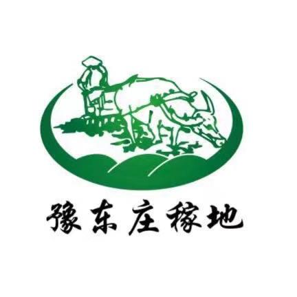 豫东庄稼地