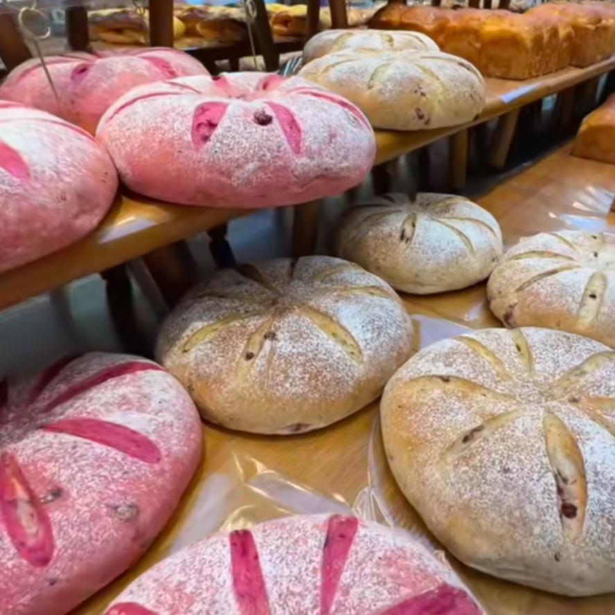 超级爱吃面包🥯