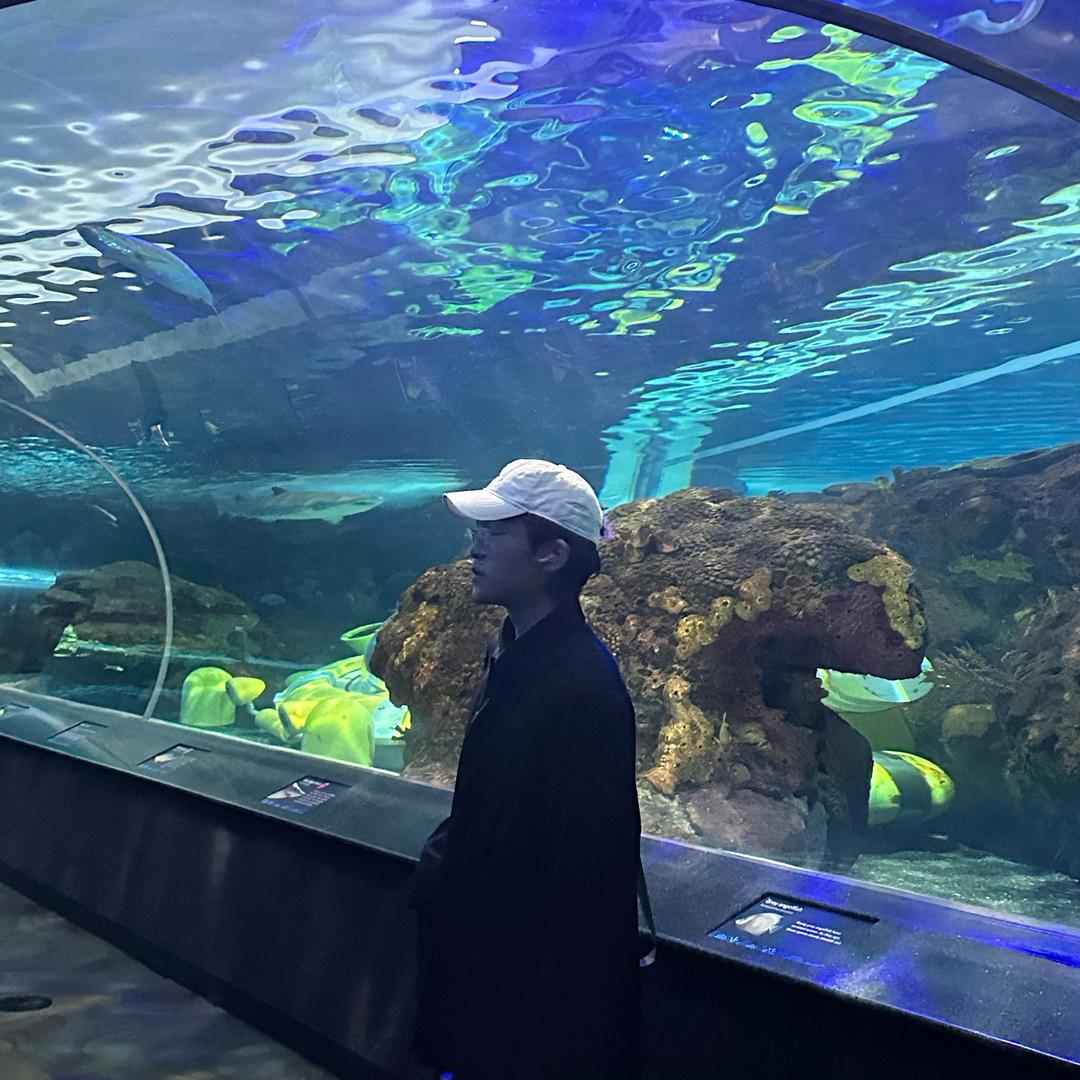 ᴛᴀɴᴀᴋᴀ ʏûᴋᴏ