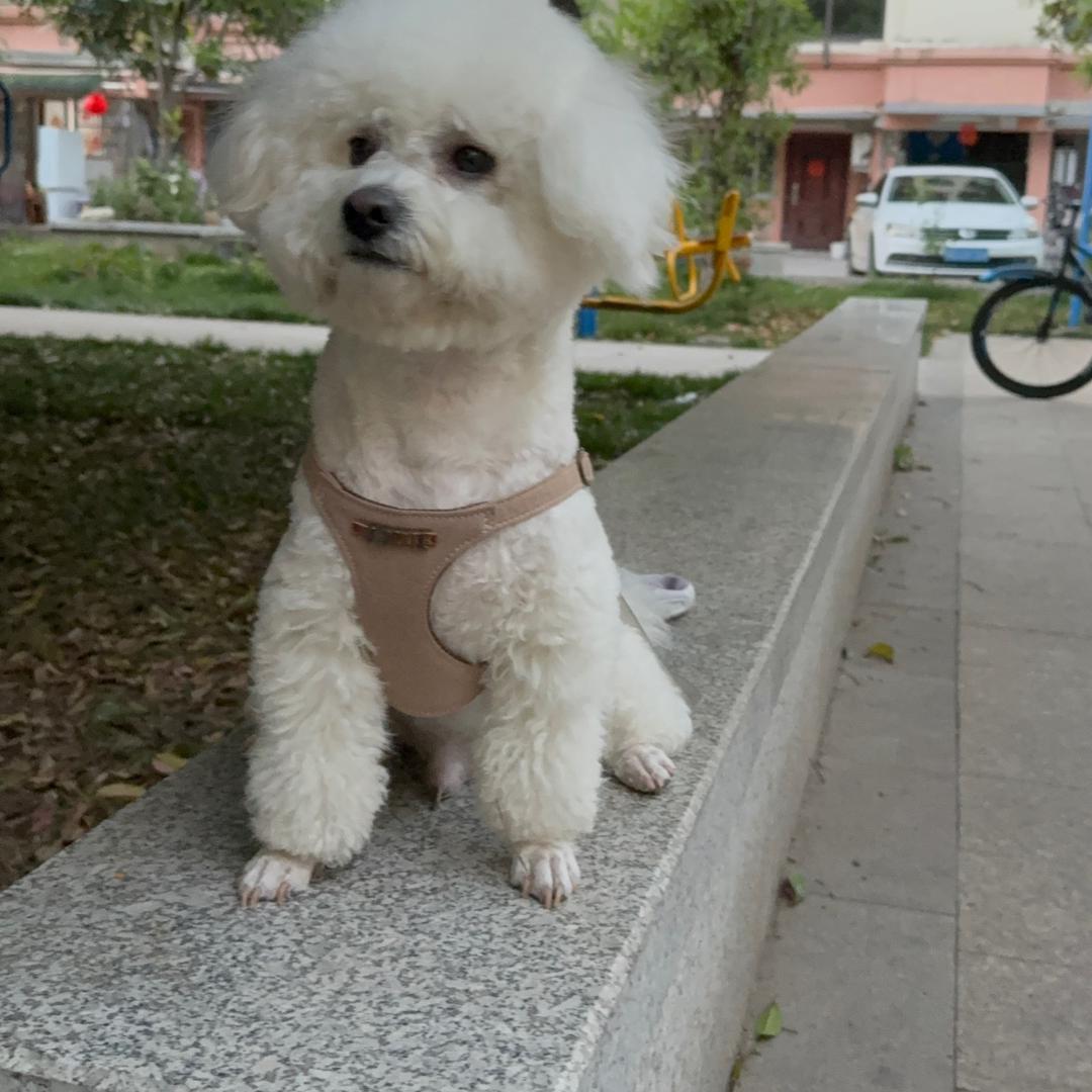 云淡风轻