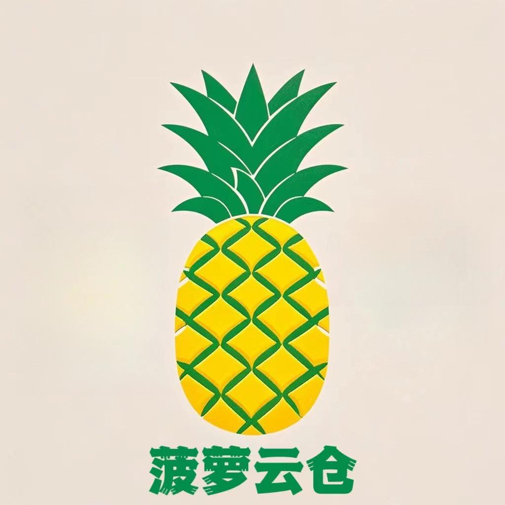 菠萝云仓