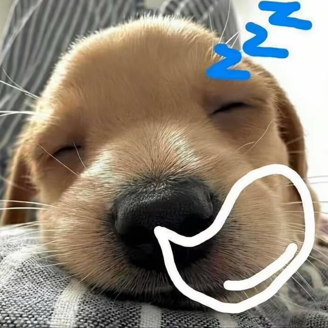 Y .懂