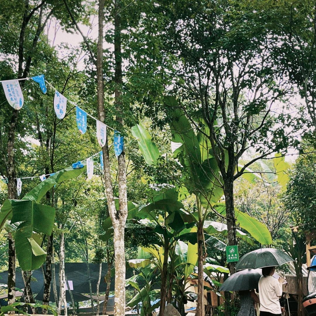 川川环游记溯溪玩水版