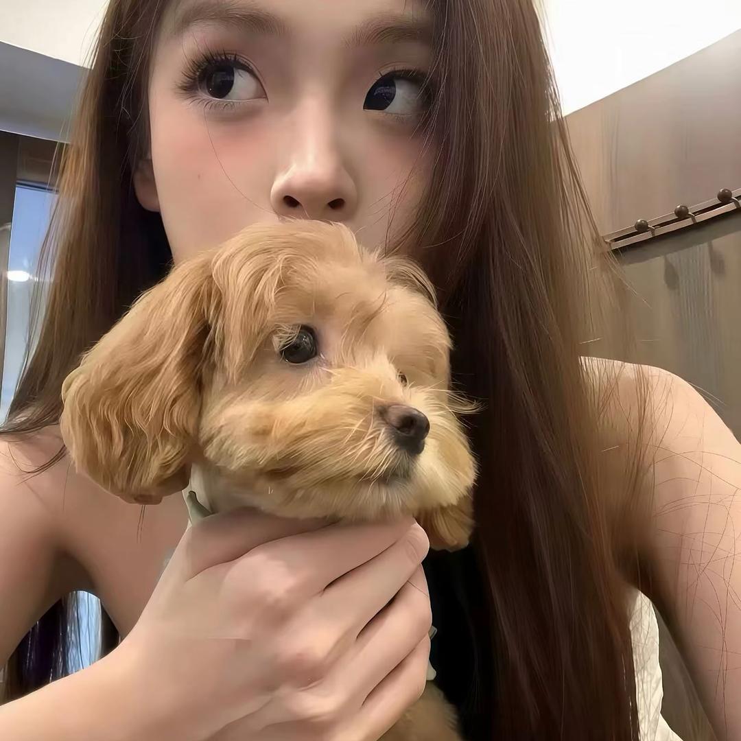 爱吃香香菜