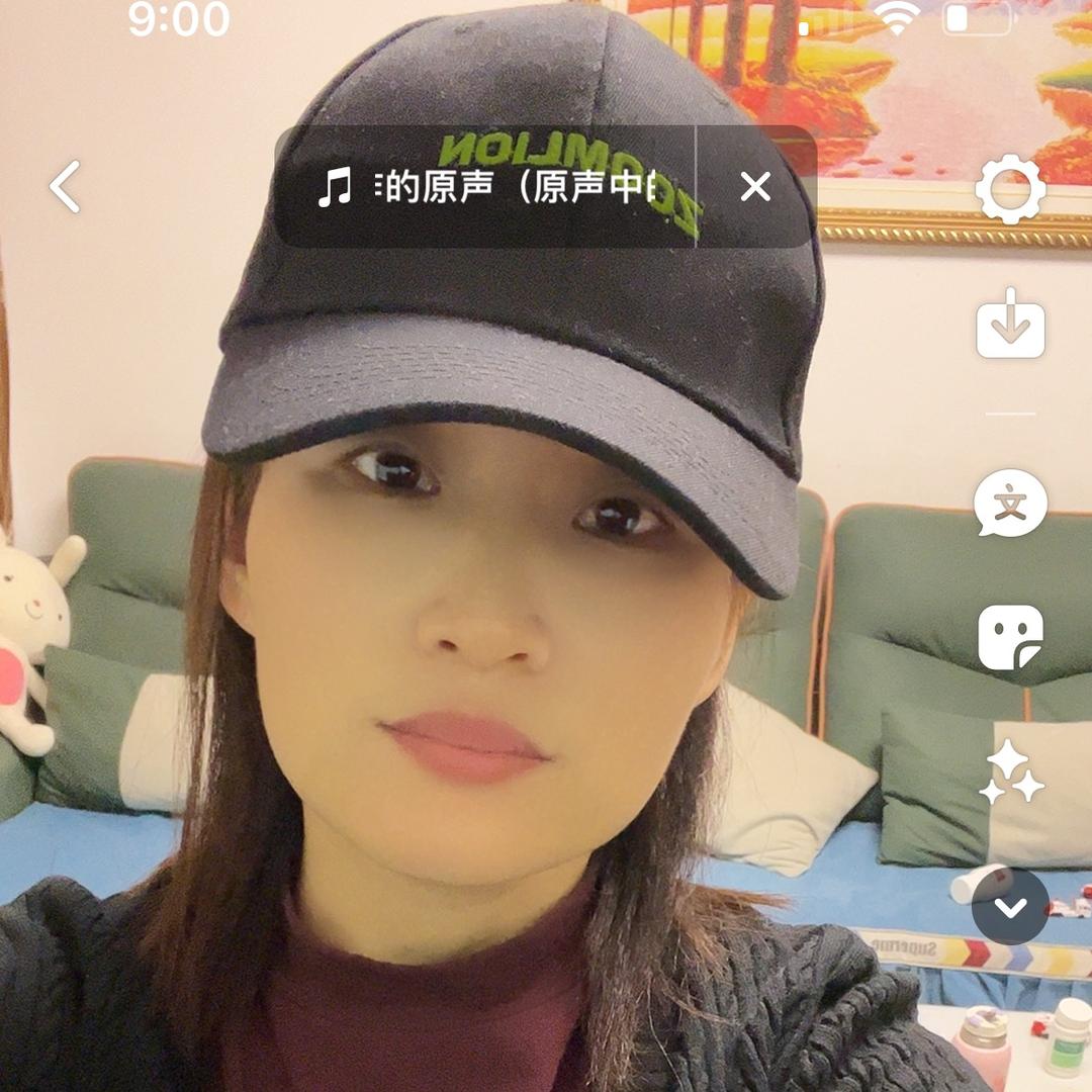 凤凤