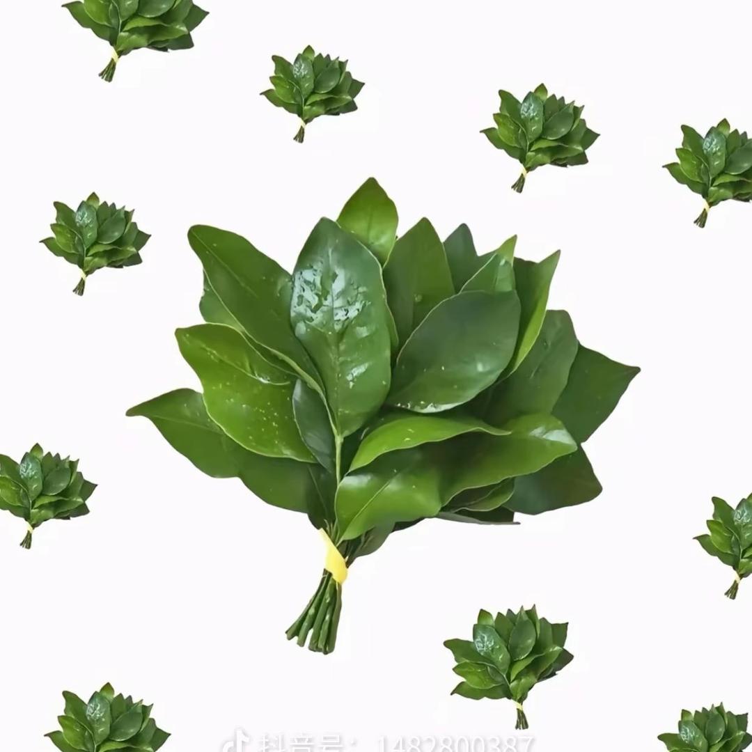ʚ雅雅吖ɞ