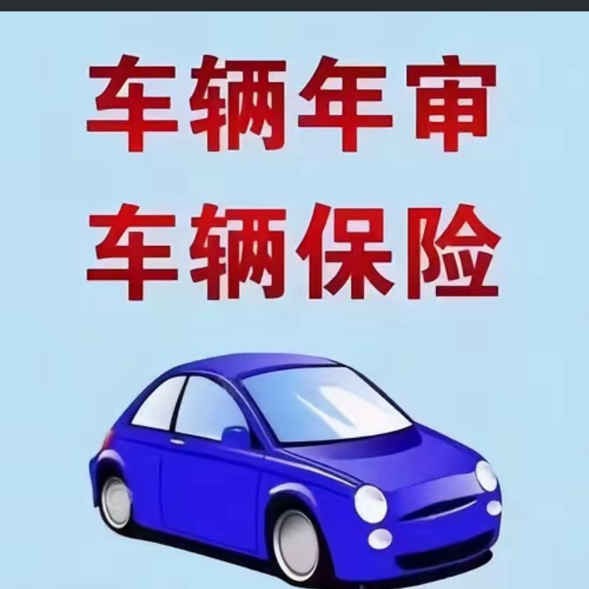 🚗险验🚗