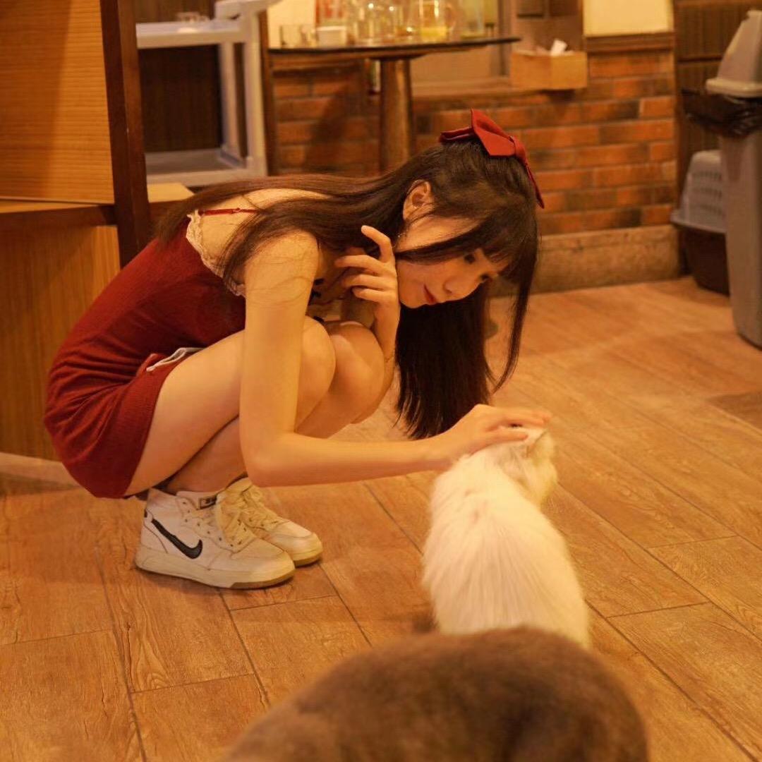 爱家的Mini