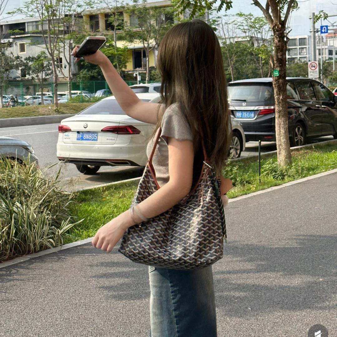 哥雅狗牙hobo