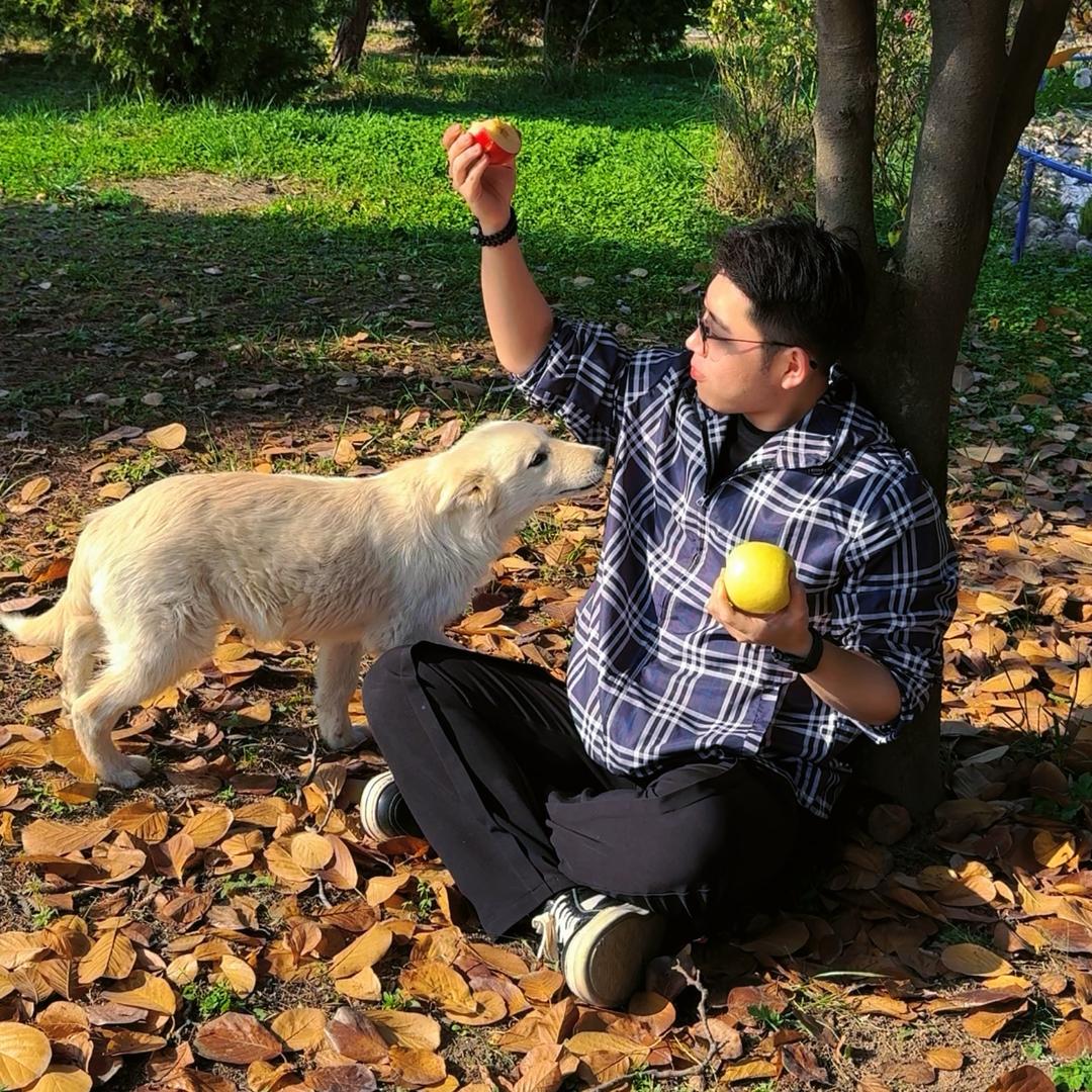牛顿的农场🍎