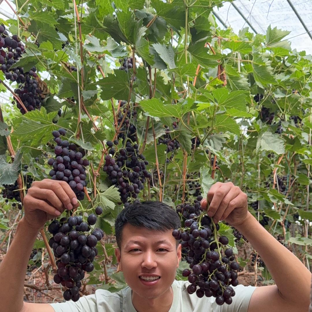 小贾果蔬铺