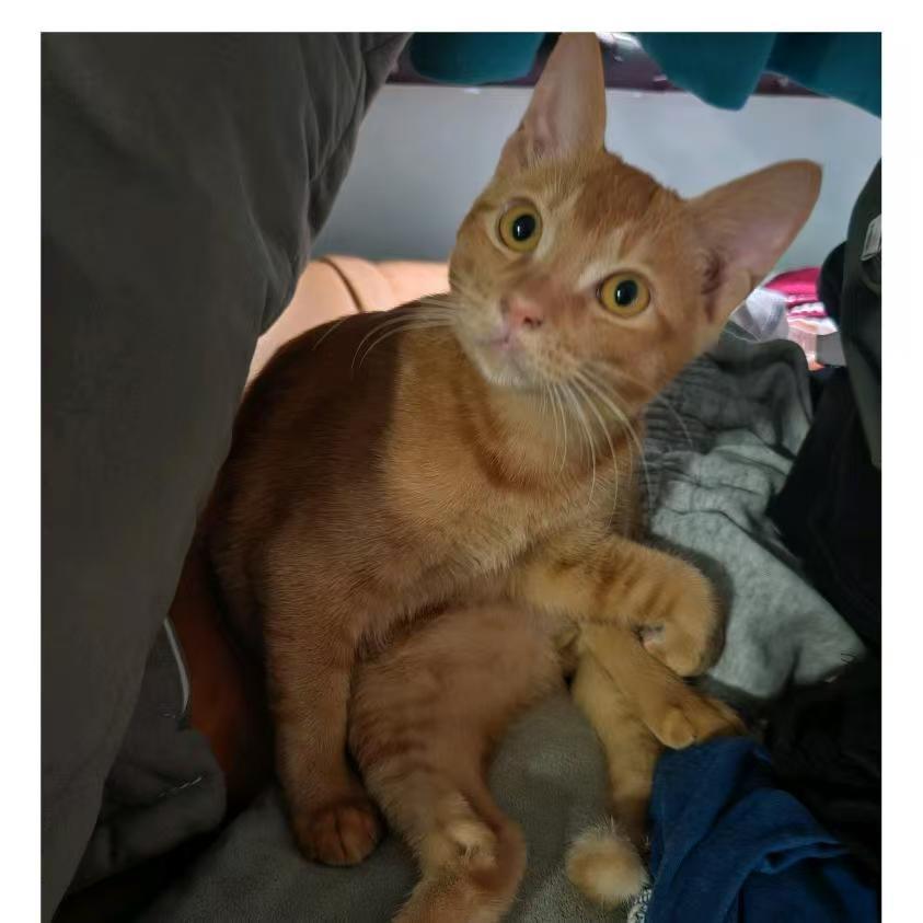 珠海城市监督员