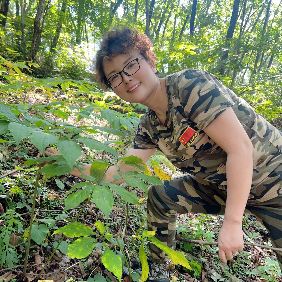 九品龙参优品铺子