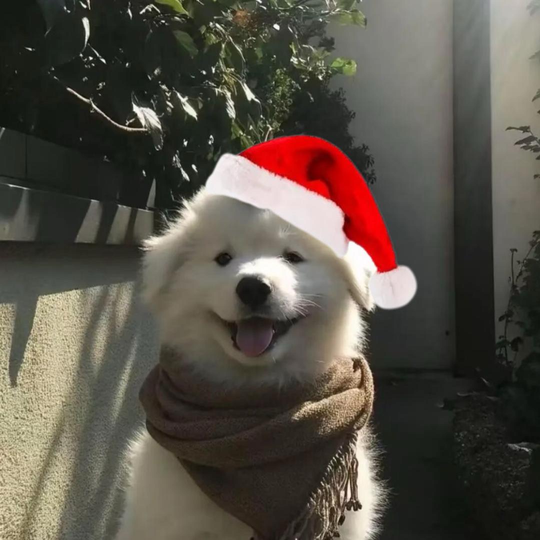 啵啵大王