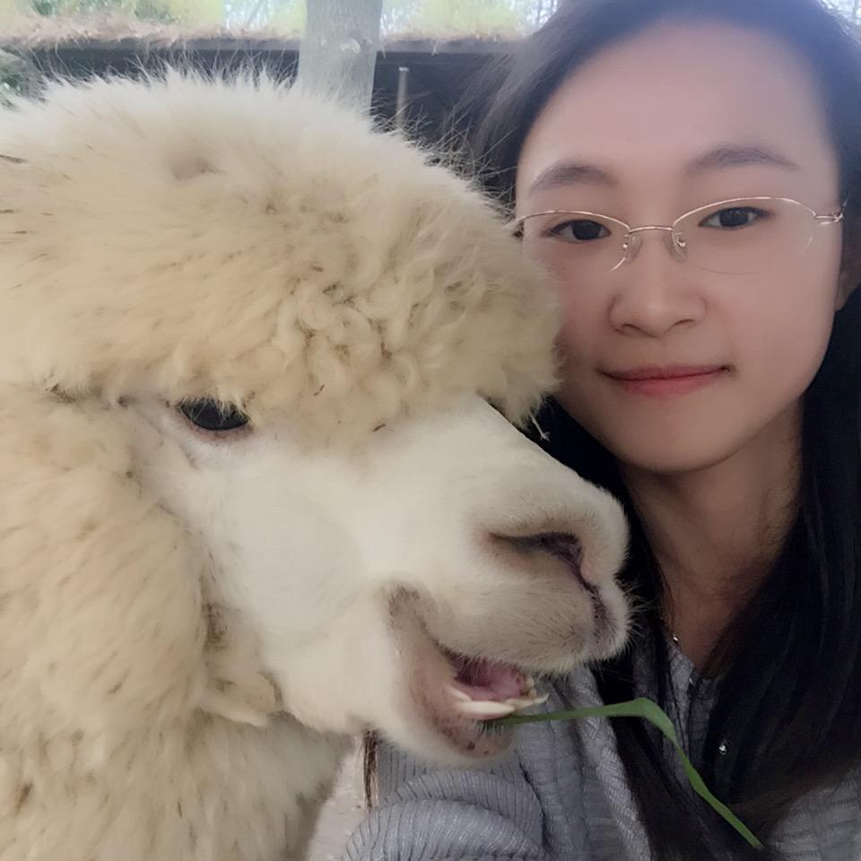 嘟噜噜向太阳
