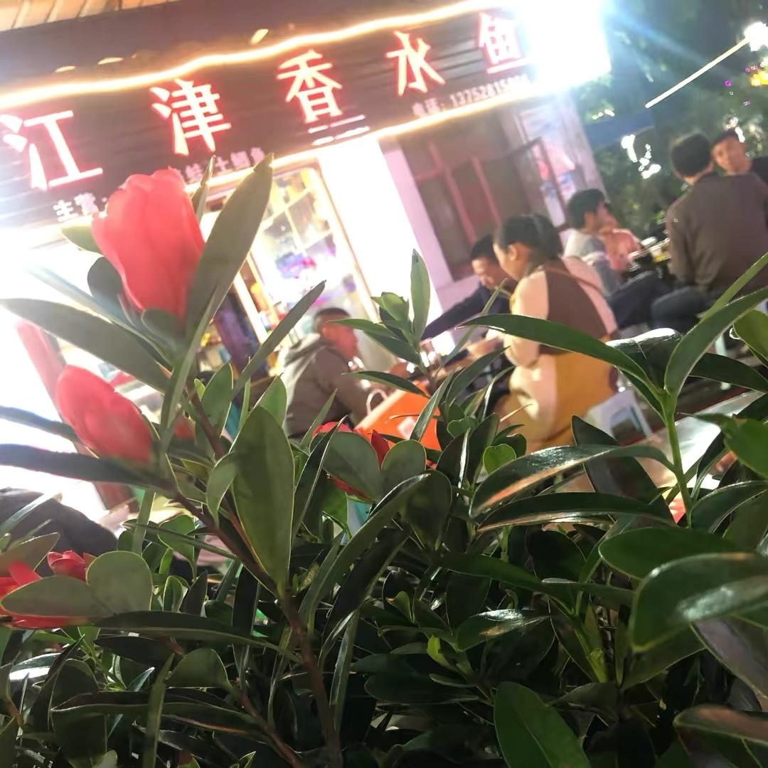 江津香水鱼(总店)
