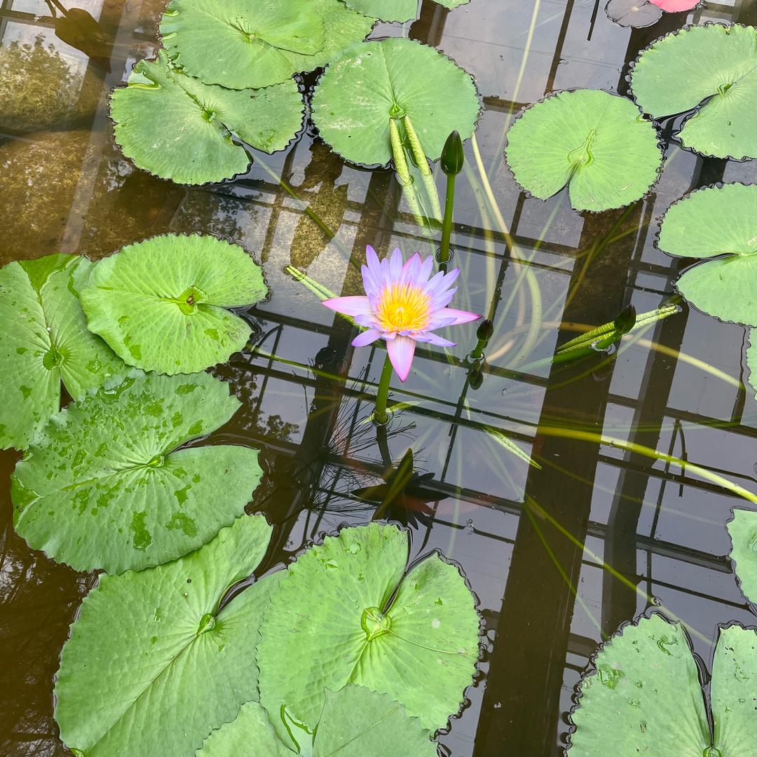 涛总的快乐生活