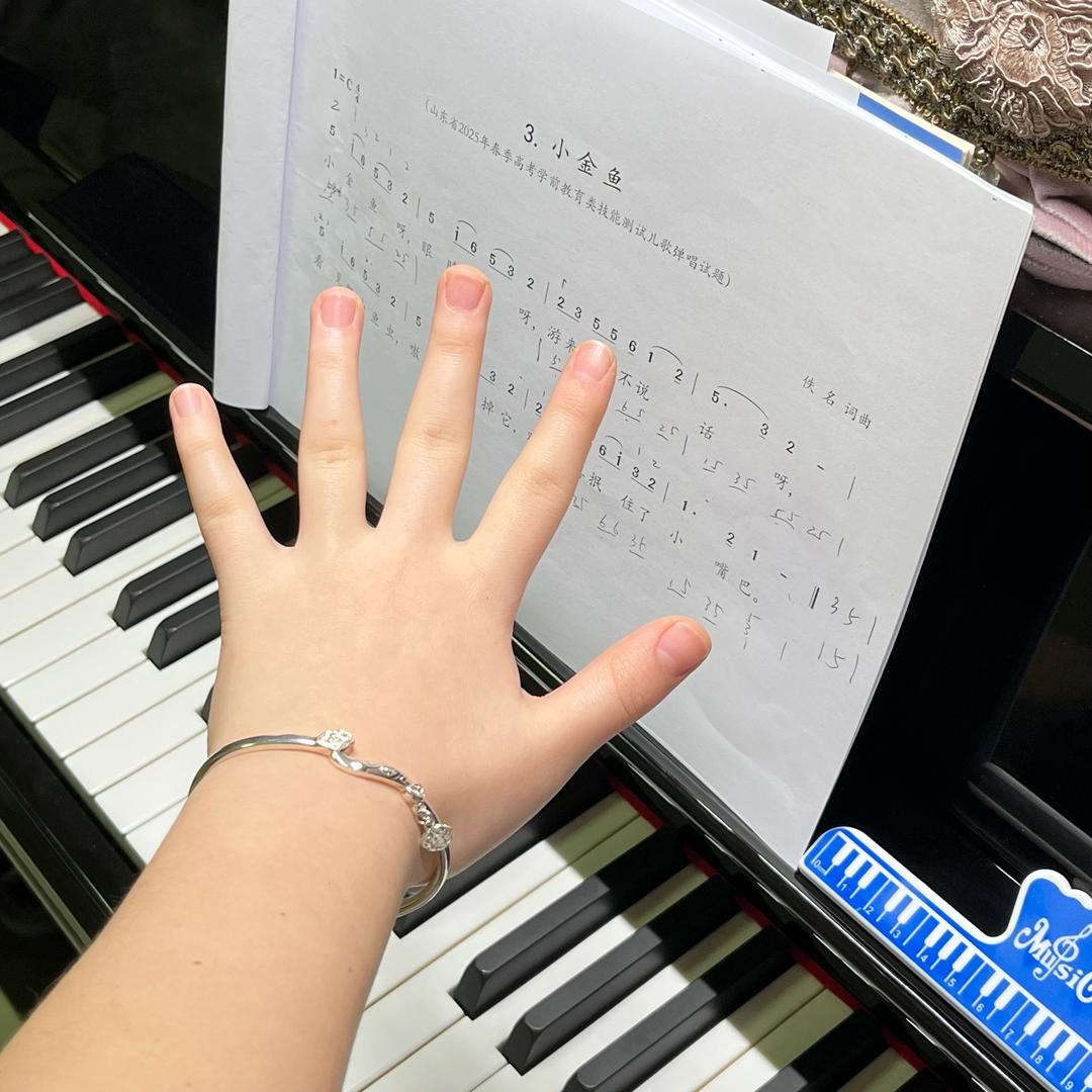 指尖的旋律🎹