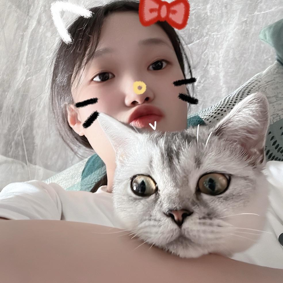 ehdisdd