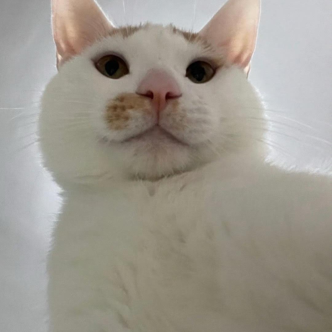云飞飞