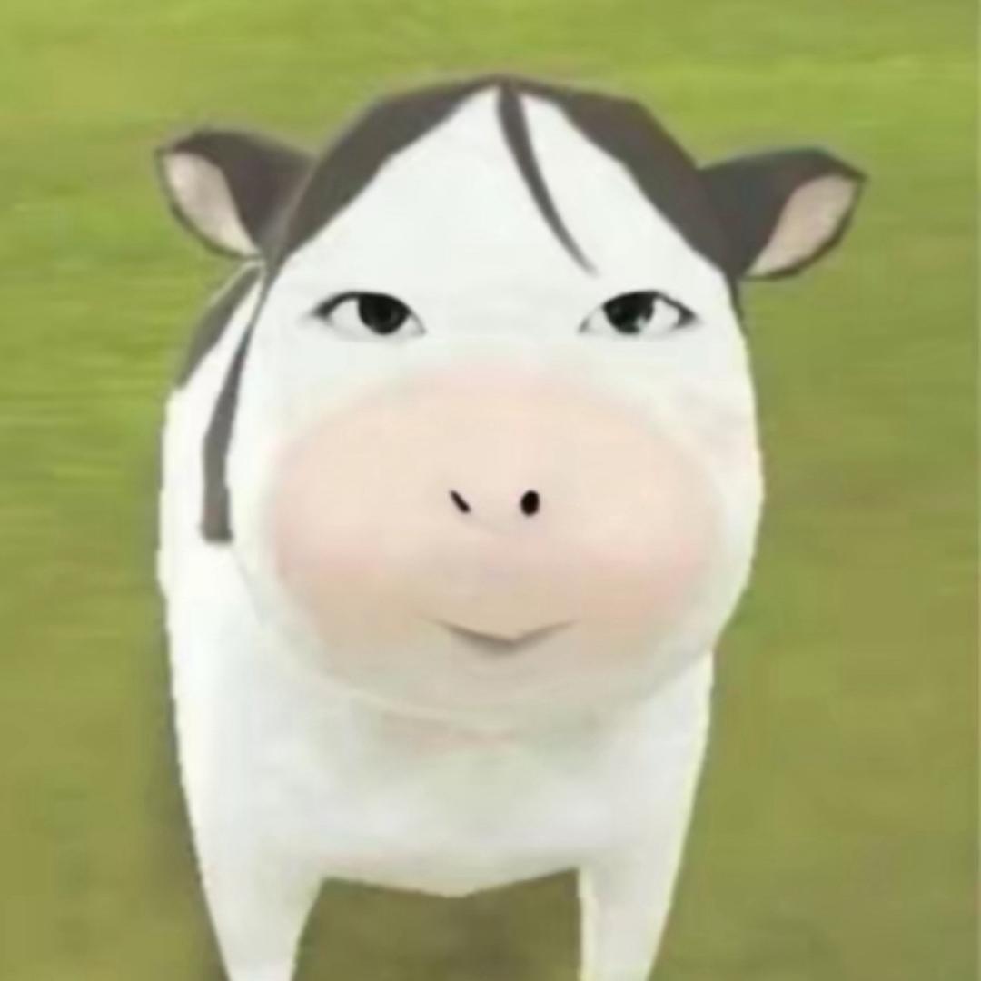 zz