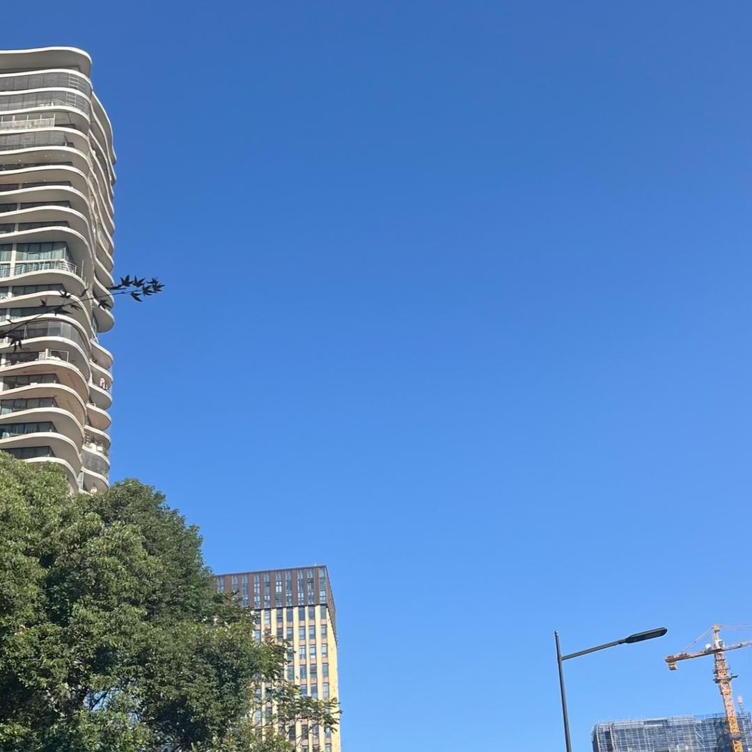 悠了个悠