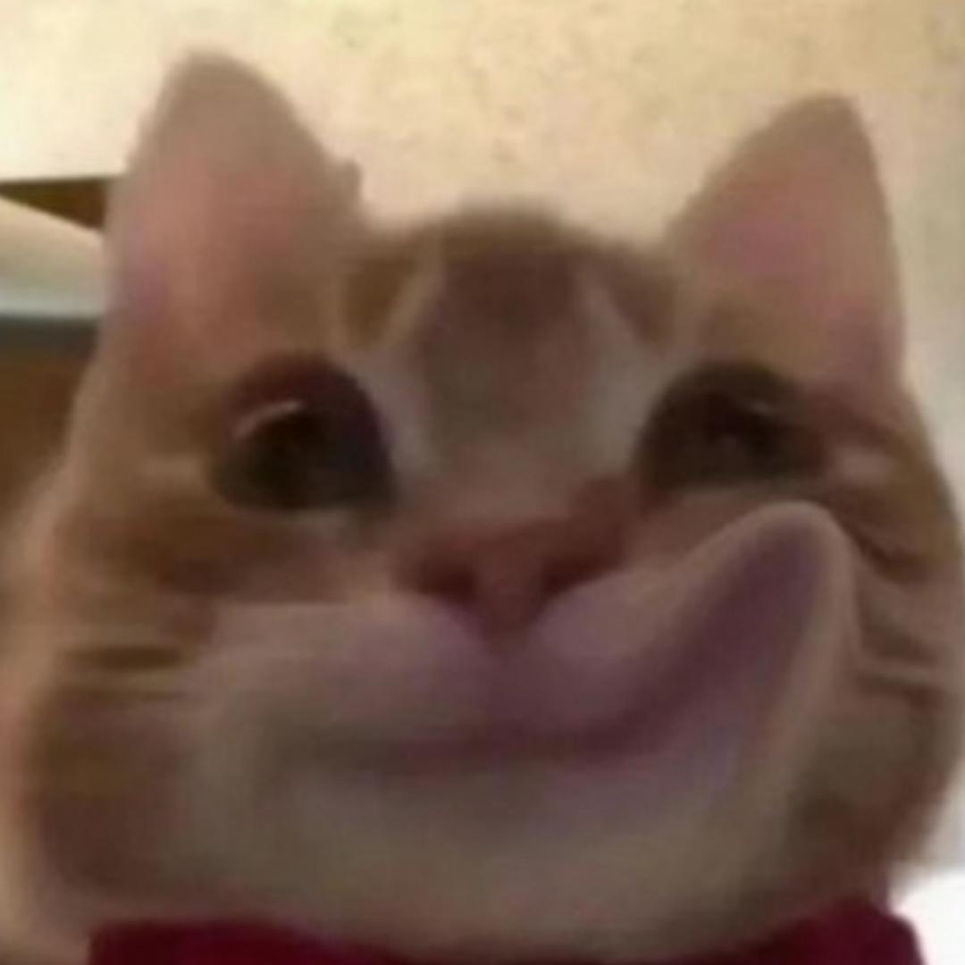 一颗菠萝