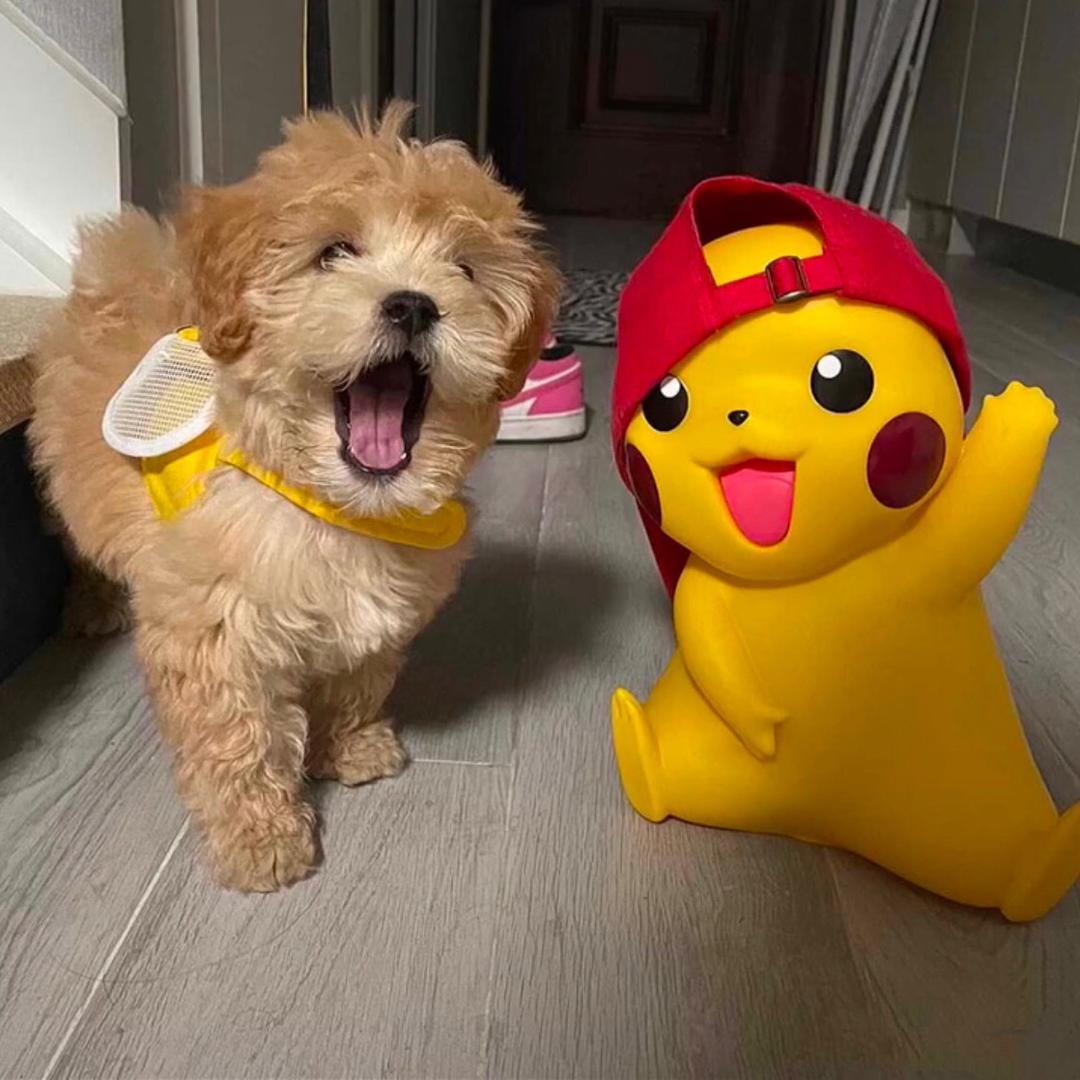 缘y