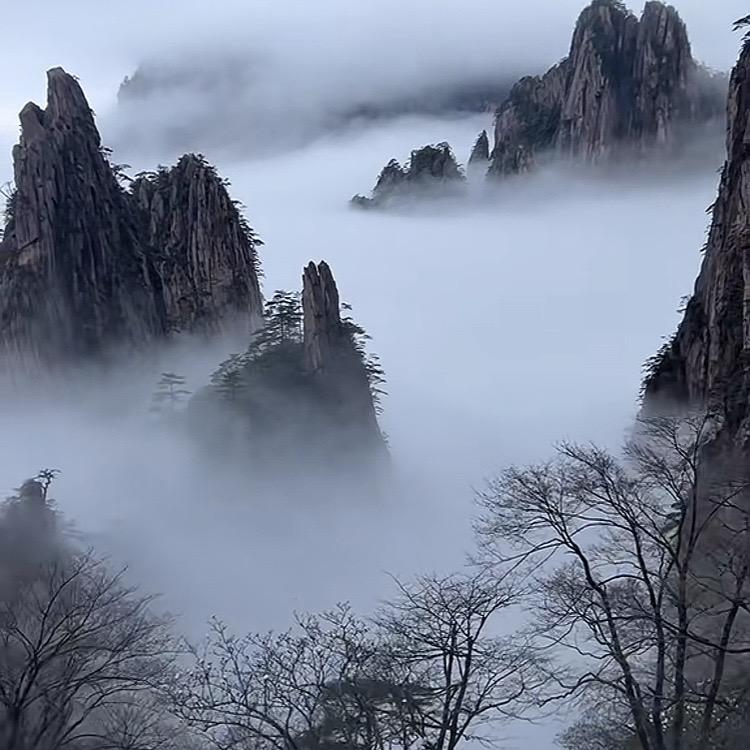 丁婷百货