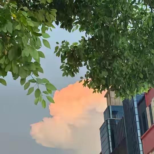 ⛅️流云轻梦💫