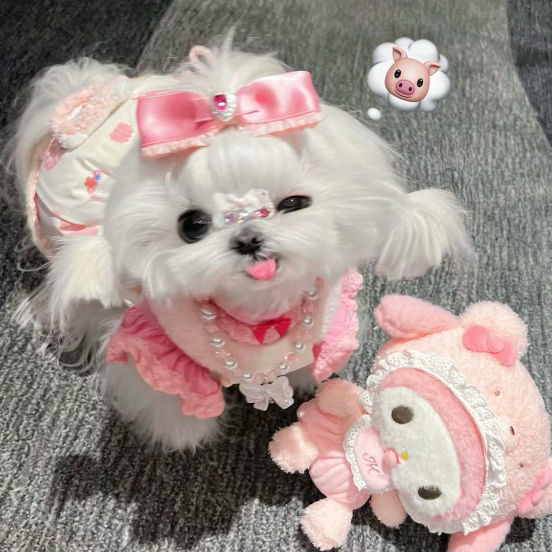 吴花果_