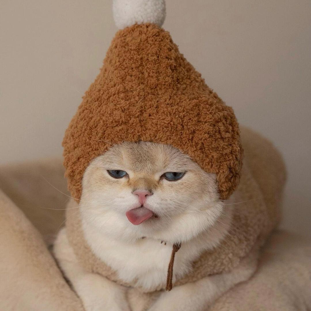 今天不努力，明天捡垃圾