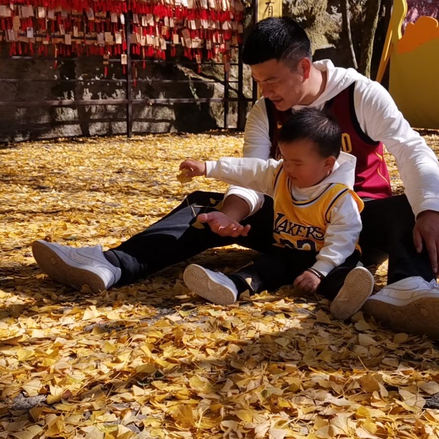 莓说体育（小太阳）