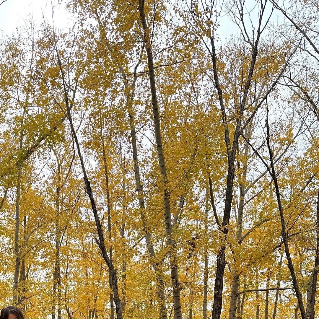 斟酌