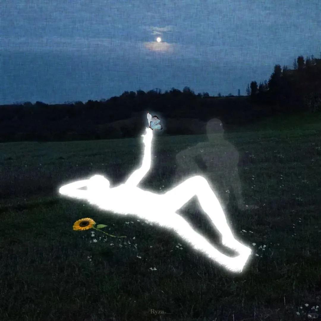 纯情性感大蟑螂