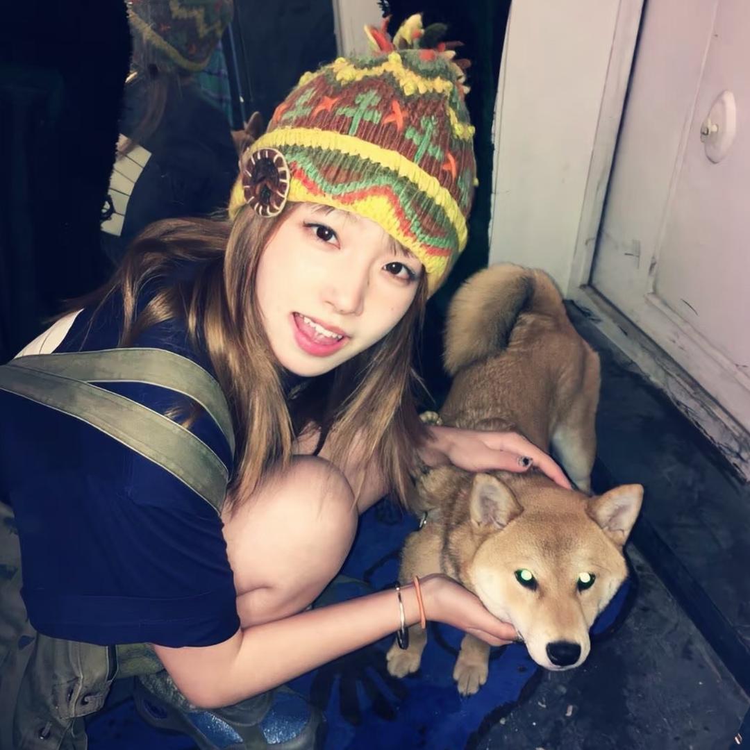 哈哈✨