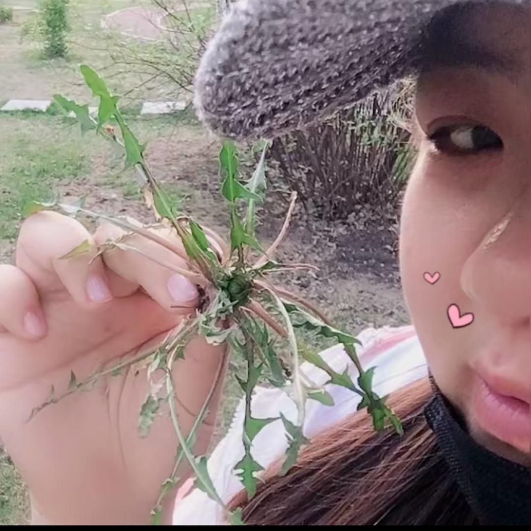 💕  傻 丫 头  ❤️